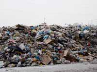 Пластик и экологическая катастрофа